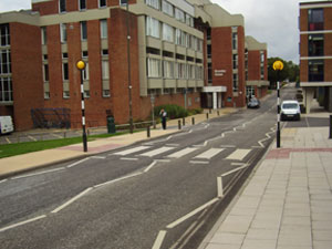 Zebra crossing at the University of Sussex